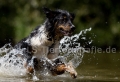 14 Wasseraction